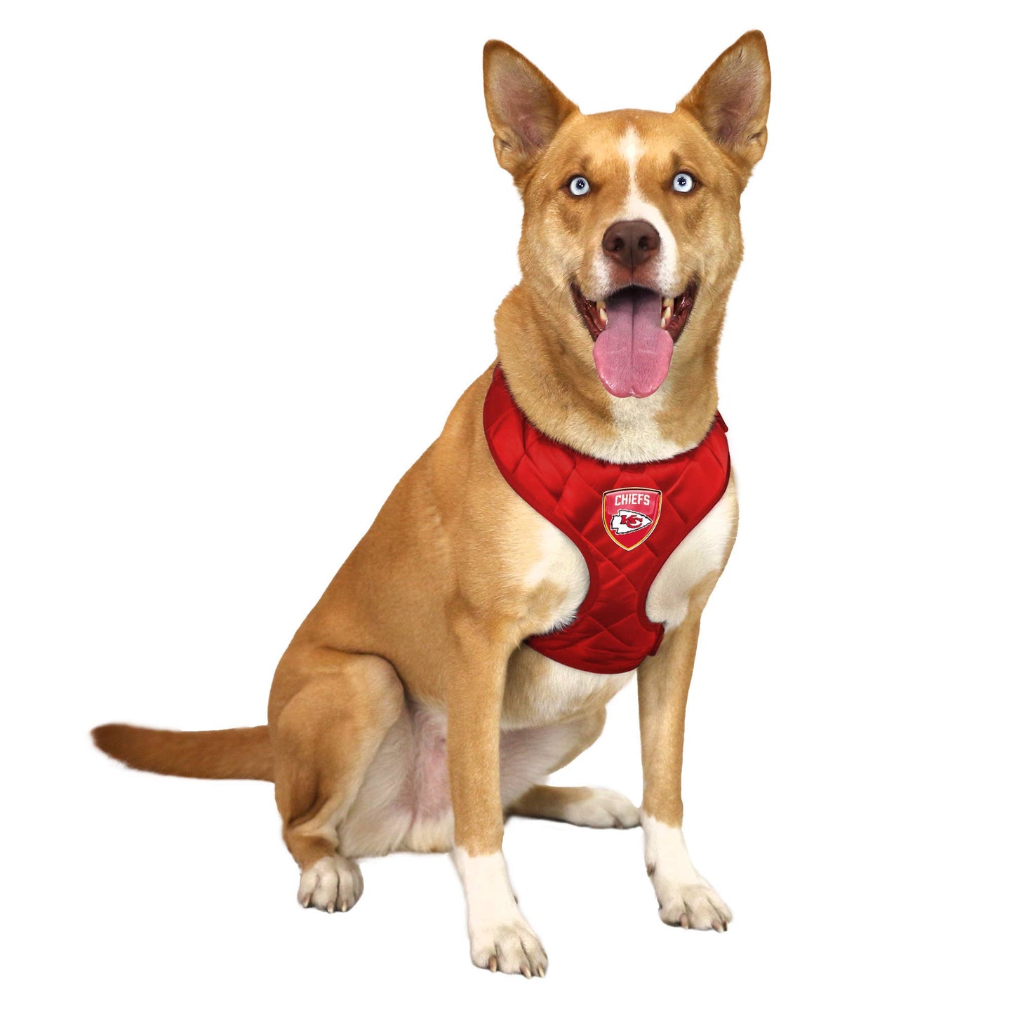 NFL Kansas City Chiefs Velvet Pet Harness