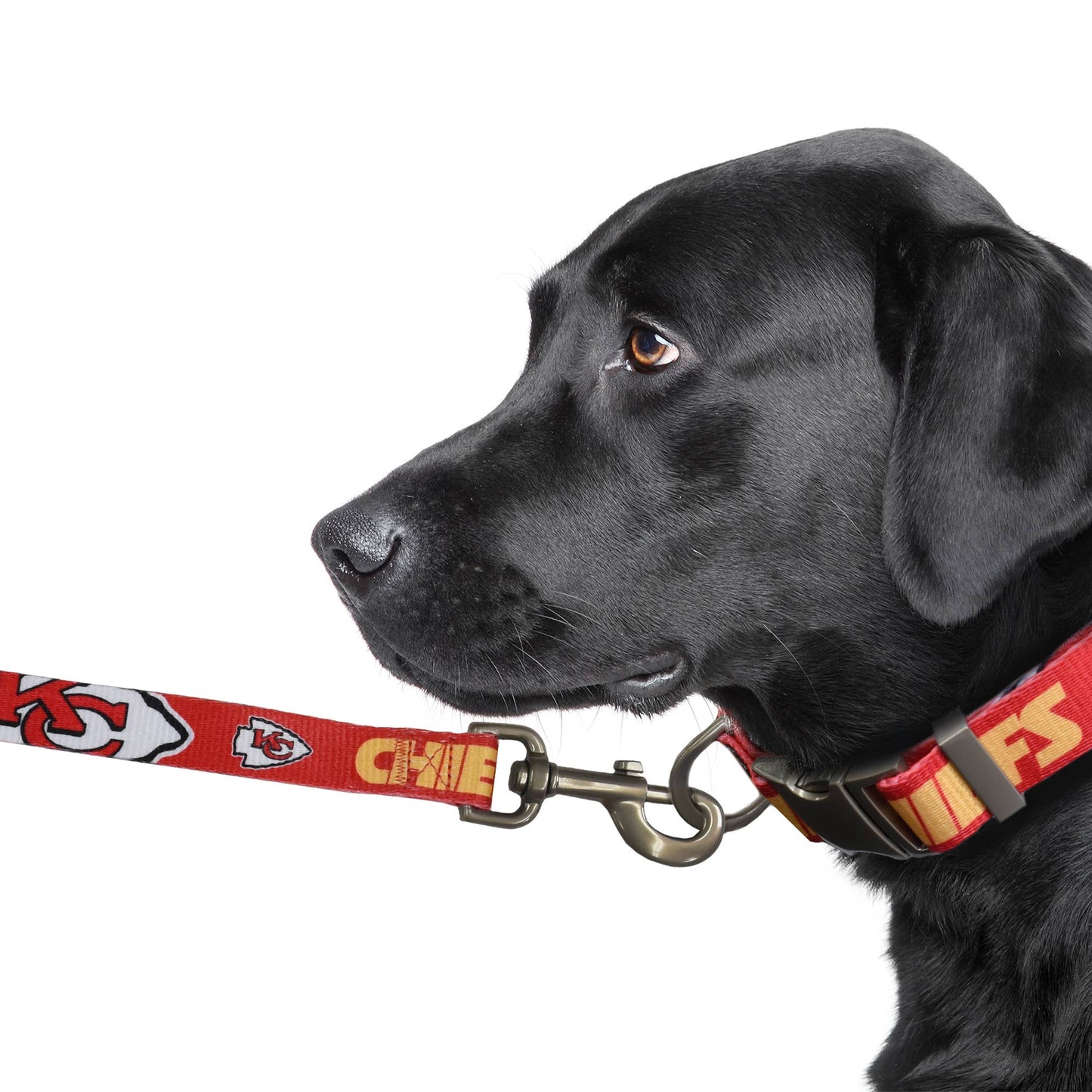NFL Kansas City Chiefs Premium Pet Lead