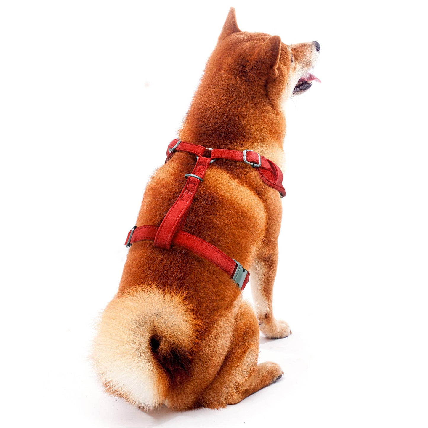 NFL Kansas City Chiefs Velvet Pet Harness