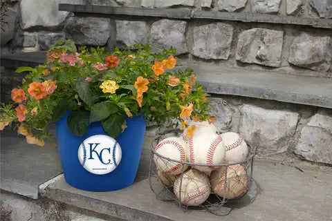 MLB Kansas City Royals Button Pot